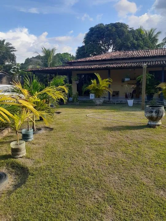 Fazenda/Sítio/Chácara para aluguel e venda possui 9.000 metros quadrados com 3 quartos - Foto 3