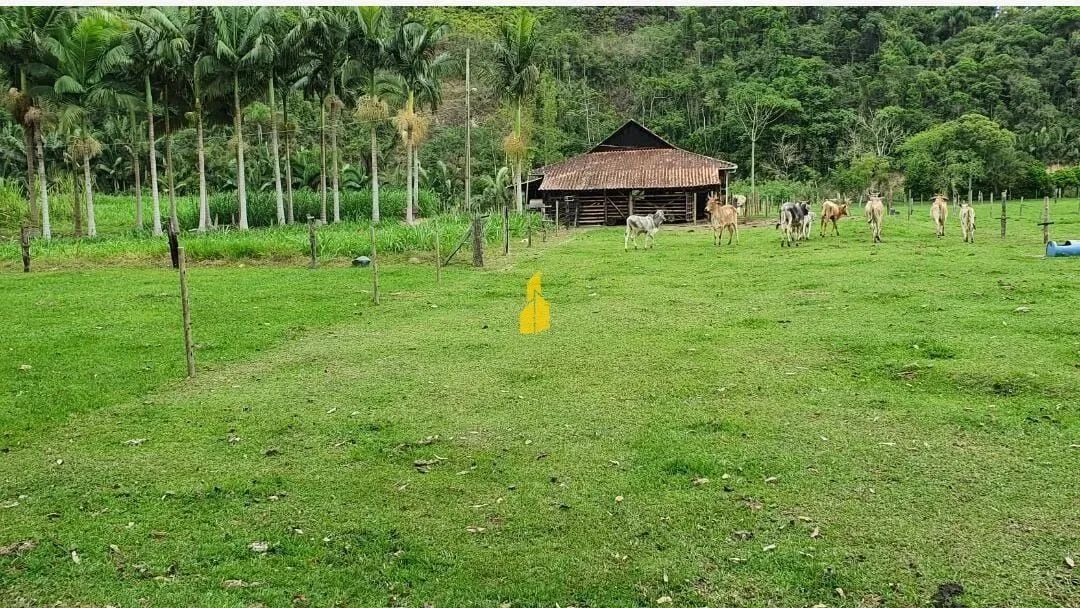 LINDO SÍTIO EM ÁREA INDUSTRIALNA CIDADE DE APIUNA SC - Foto 2