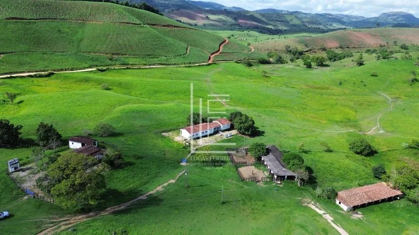 Fazenda totalmente mecanizada de 226 hectares com excelente topografia em São José da Laje
