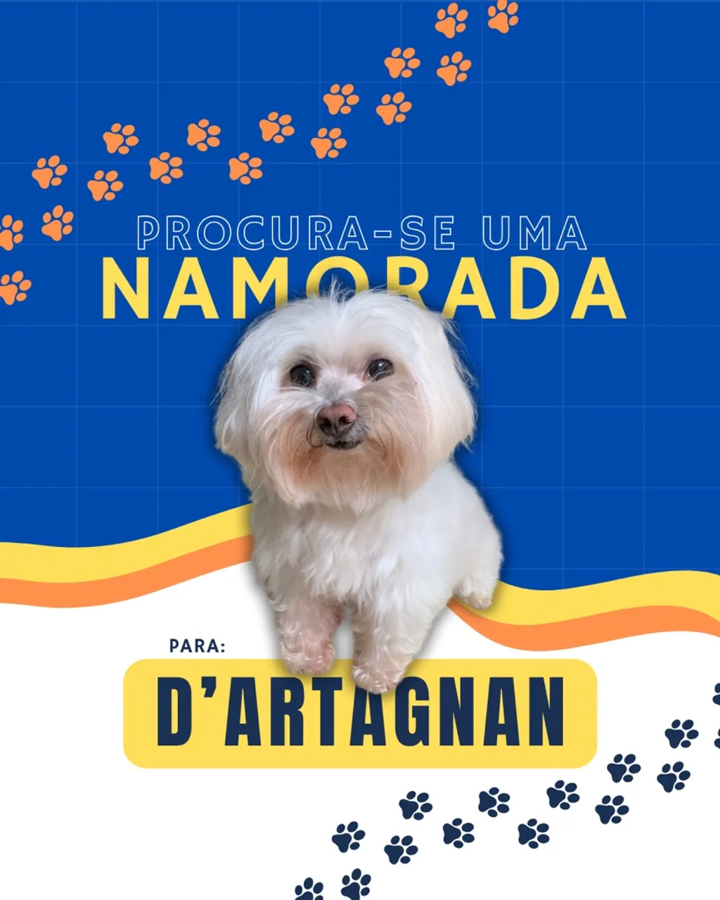 D'Artagnan procura namorada Maltesa!