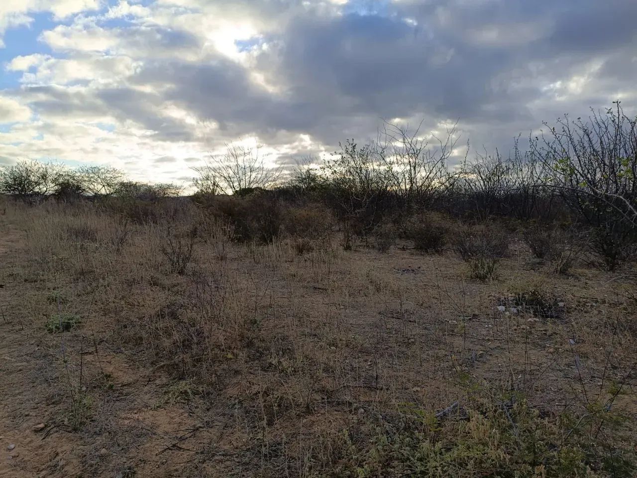 TERRENO À VENDA! - Foto 3