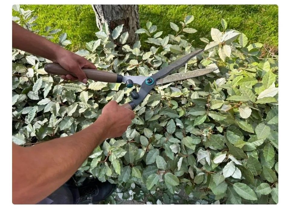 Jardinagem e poda de folhagens - Foto 2