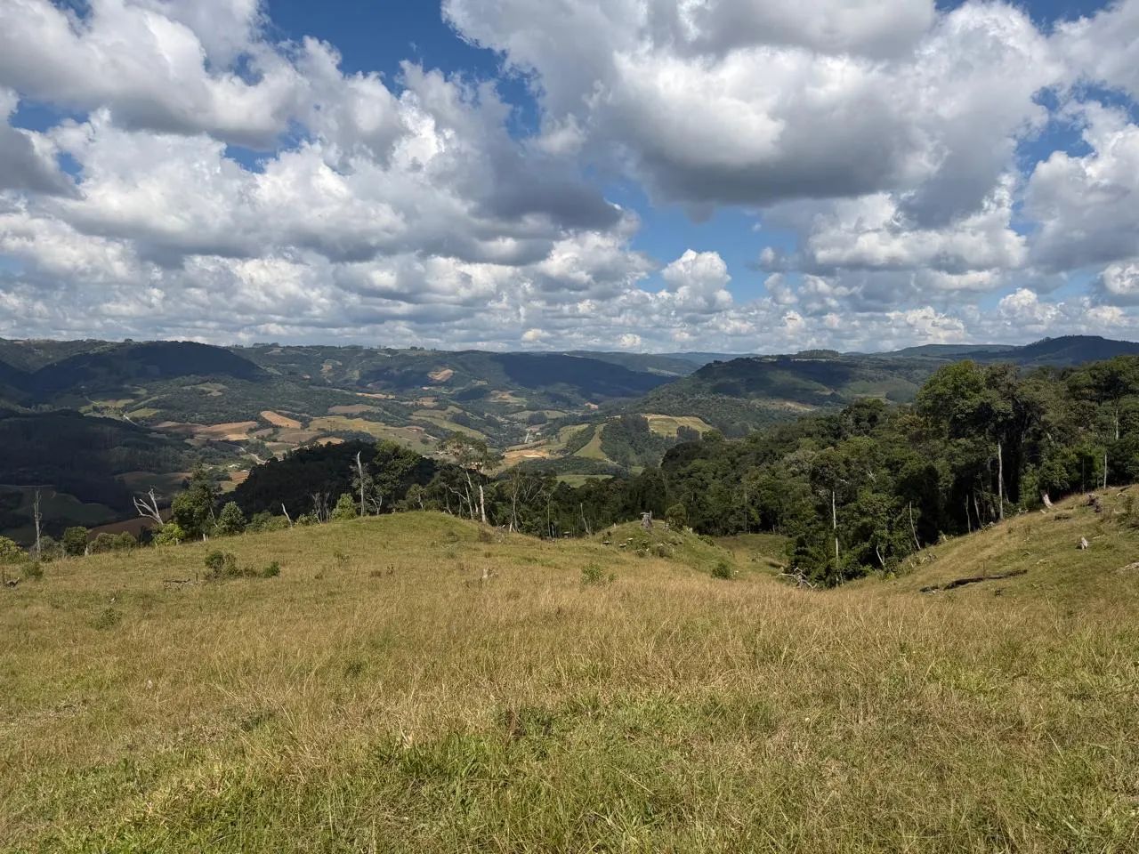OPORTUNIDADE EXCLUSIVA EM LEOBERTO LEAL/SC - Foto 2