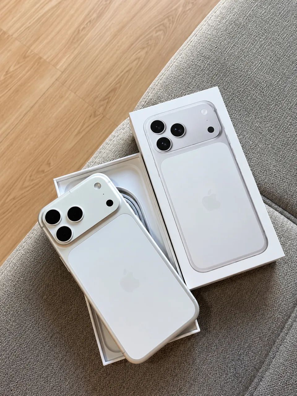 iPhone 17 Pro Max Silver 