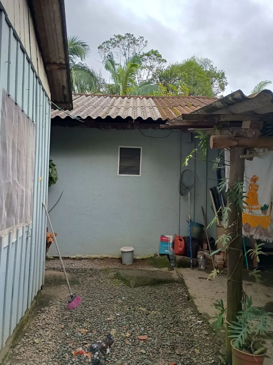 Chácara em Antonina  - Foto 5
