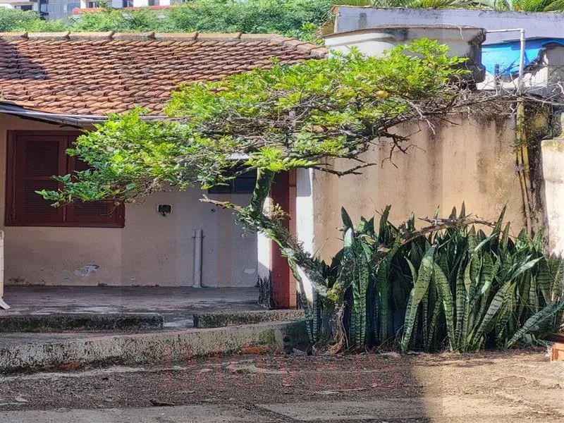 Terreno Jardim da Saúde Sao Paulo/SP - Foto 4
