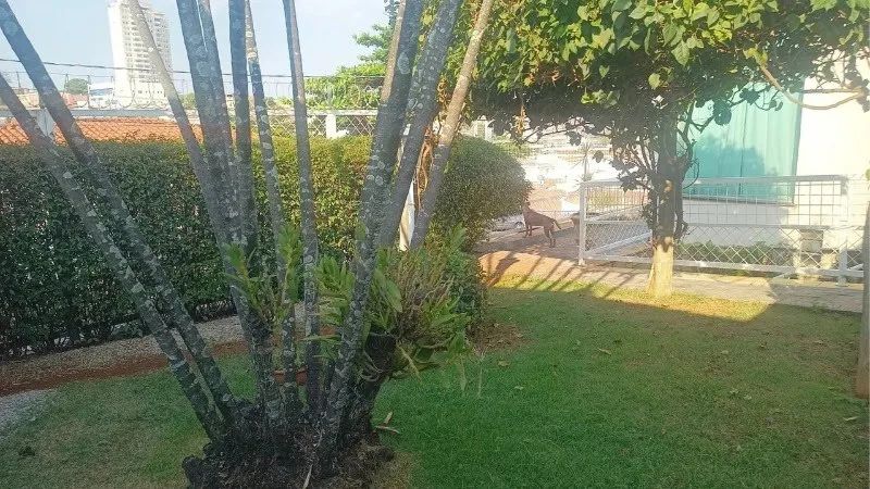 Casa térrea à venda na Vila Trujillo, em Sorocaba-SP - Foto 3