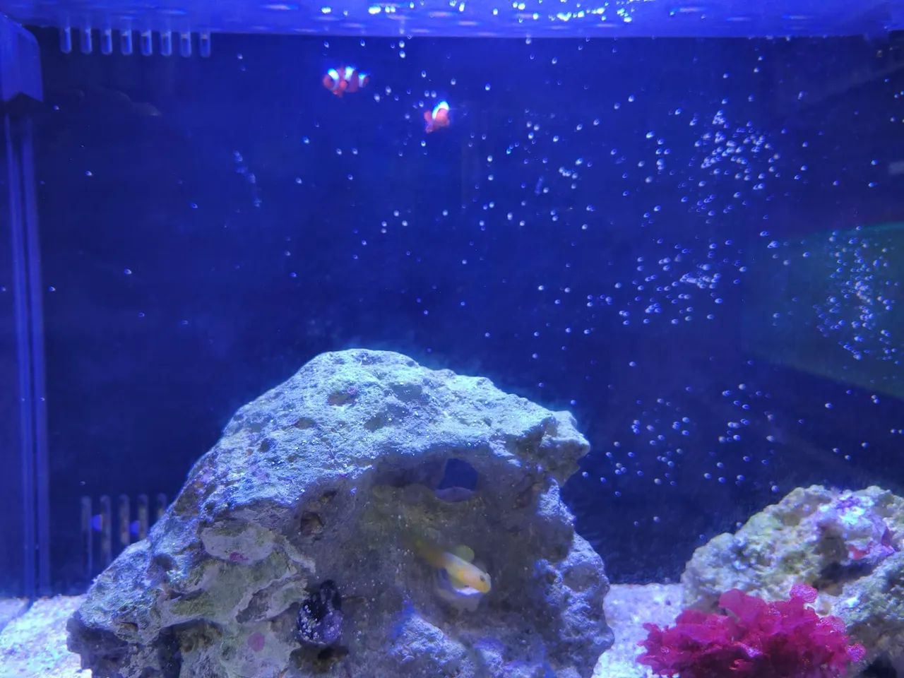 Aquário 72L ocean Tech - Foto 2