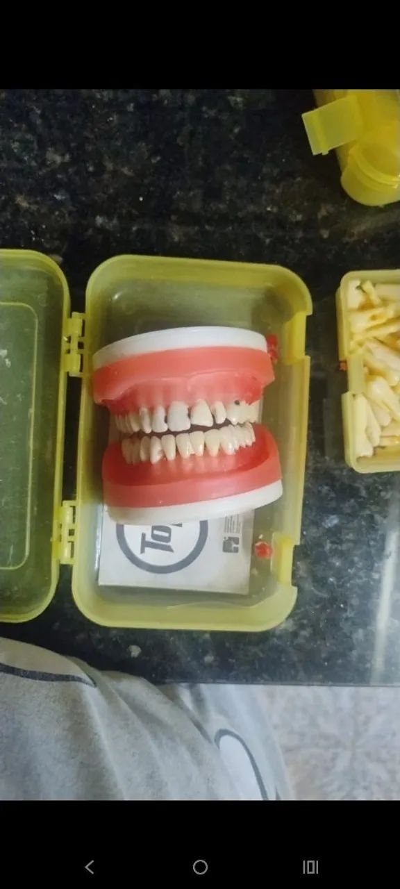 Manequim pronew dentistica 