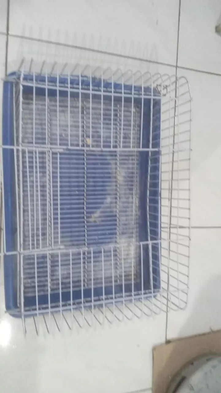 Gaiola de Hamster com brinde - Foto 2