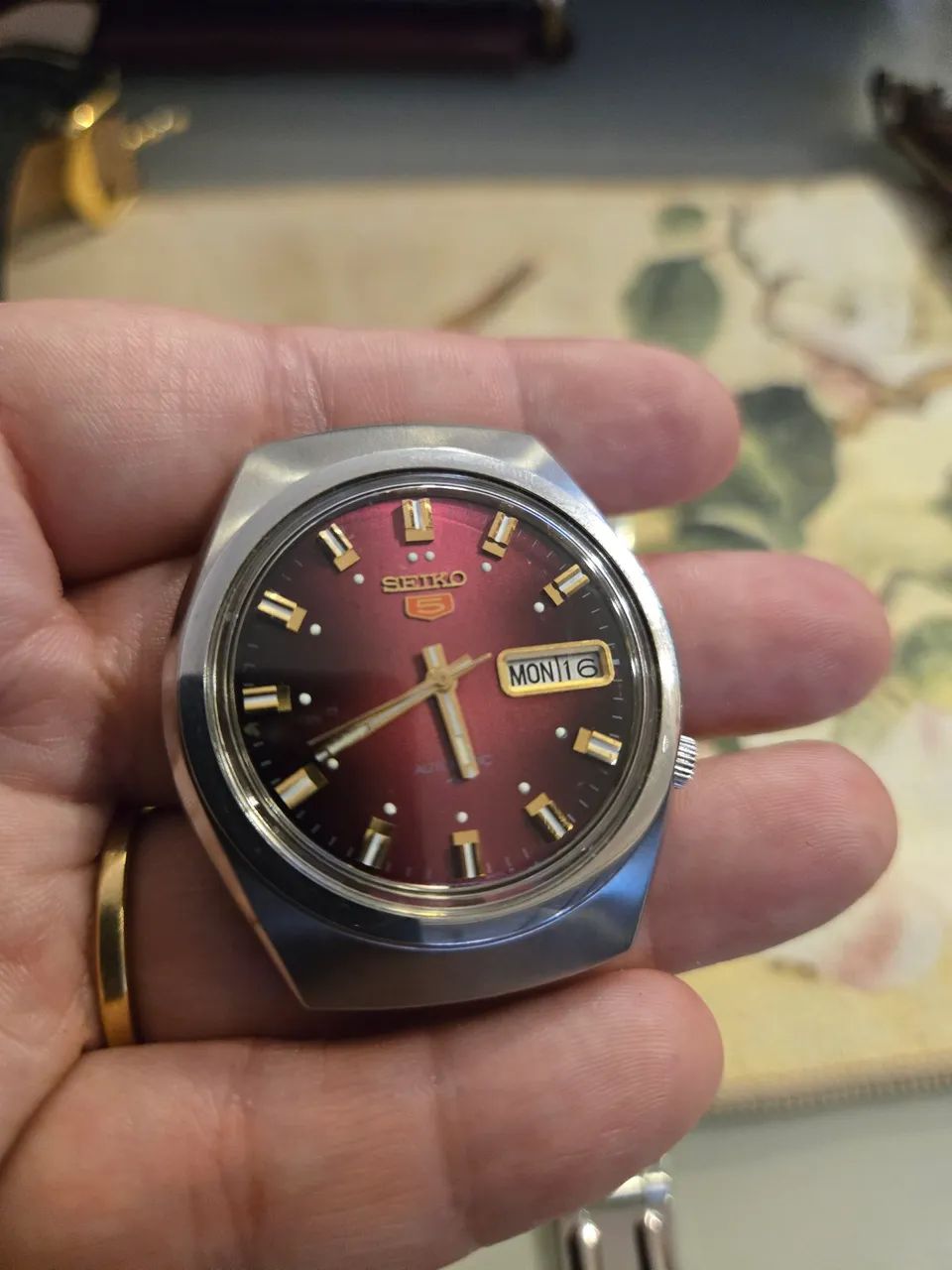 Seiko 5 bordô