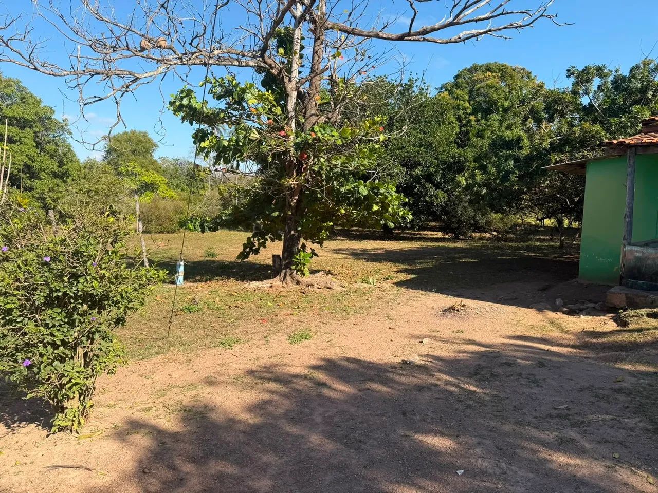 Fazenda toda formada  - Foto 3