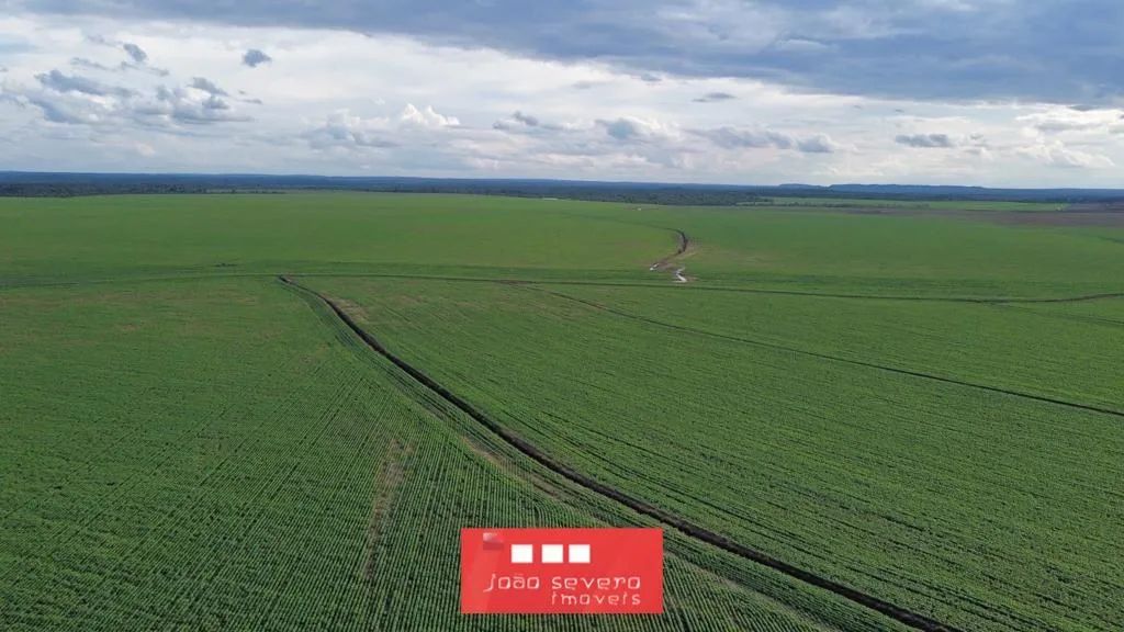Fazenda para Venda em Palmeirante - Foto 3