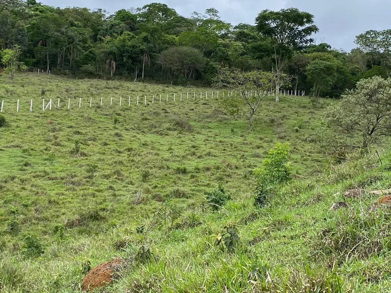 Terreno  a venda  direto com proprietário - Foto 4