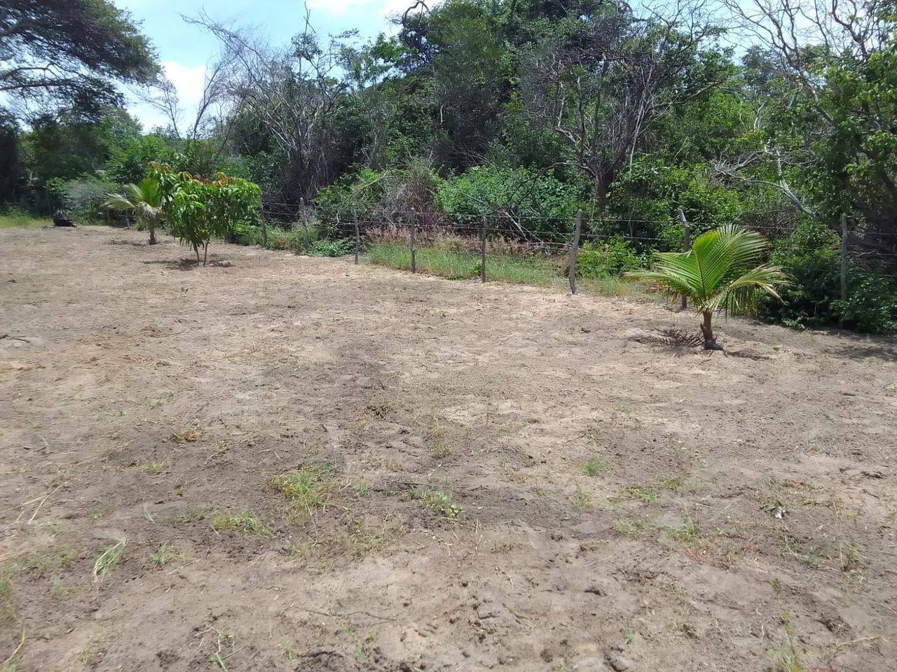 Excelente Terreno de 750 m² - Foto 4