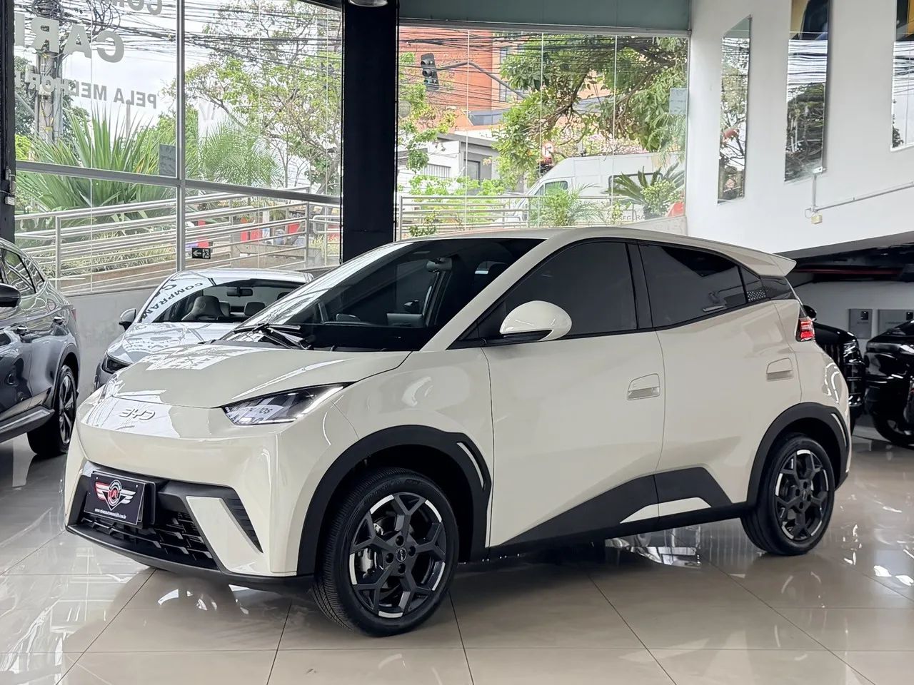 BYD Dolphin Mini (Elétrico) 2027