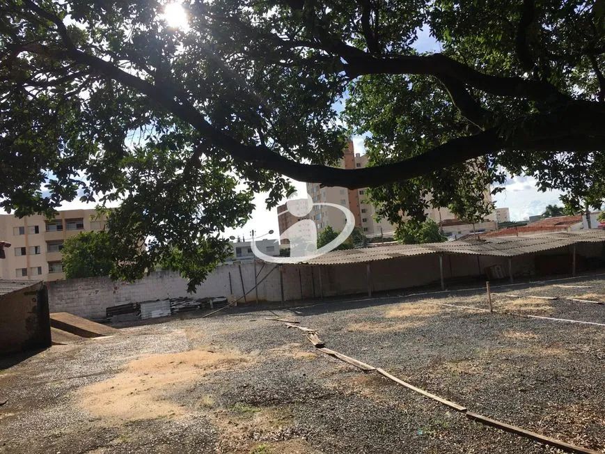 Aluguel Terreno MARTINS - Foto 4