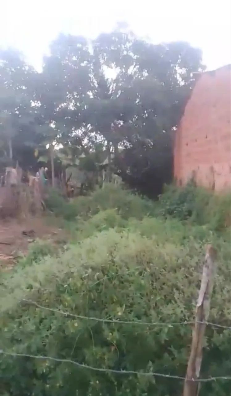 Terreno em itaporanga com documentação troco em moto tbm  - Foto 3
