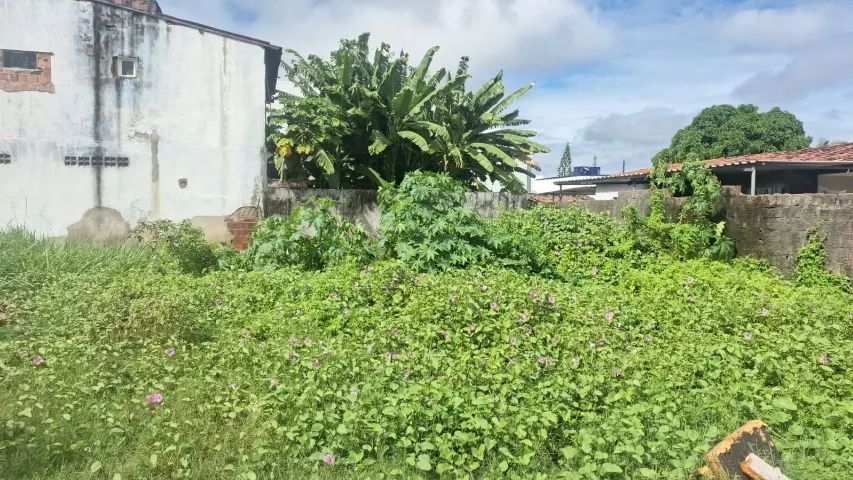Terreno Comercial na Principal de Nova Mangabeira 400 m2 - Foto 2