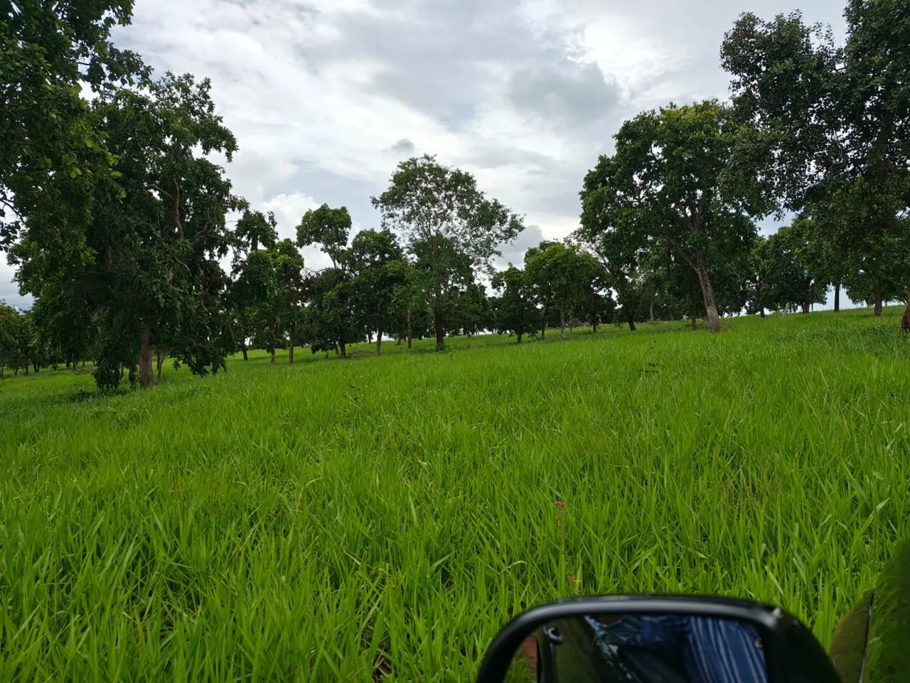 Fazenda em Iturama Minas Gerais  - Foto 3