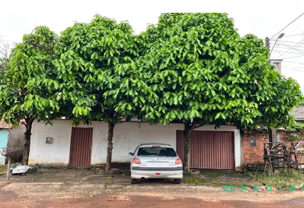 Casa de 162m² no Centro, - Barrolândia/TO