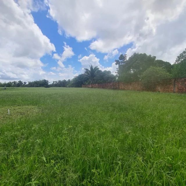 Vendo 2 hectares em Rosário - Foto 4