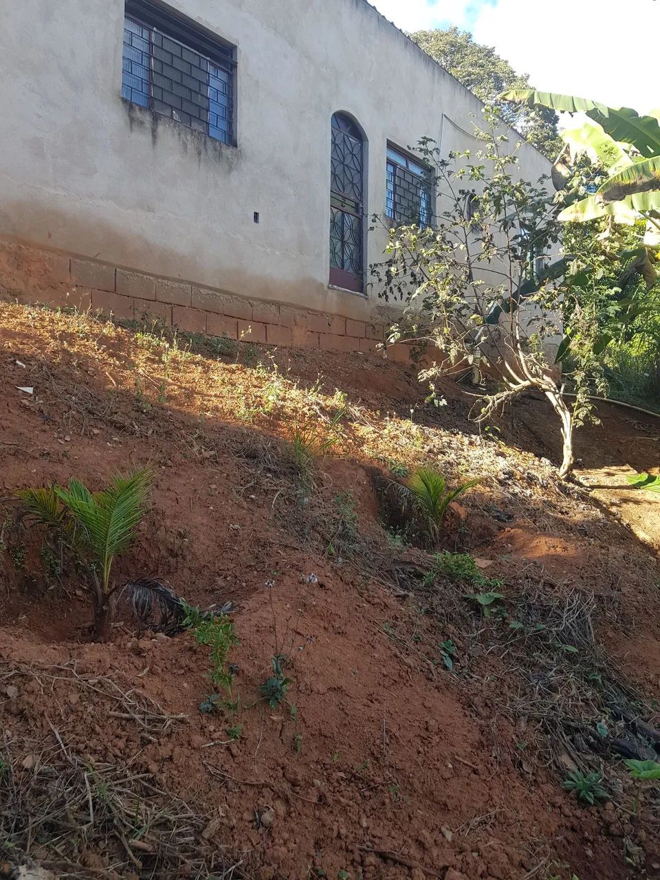 Vendo chácara com casa cômodos grandes,com árvores frutíferas. 