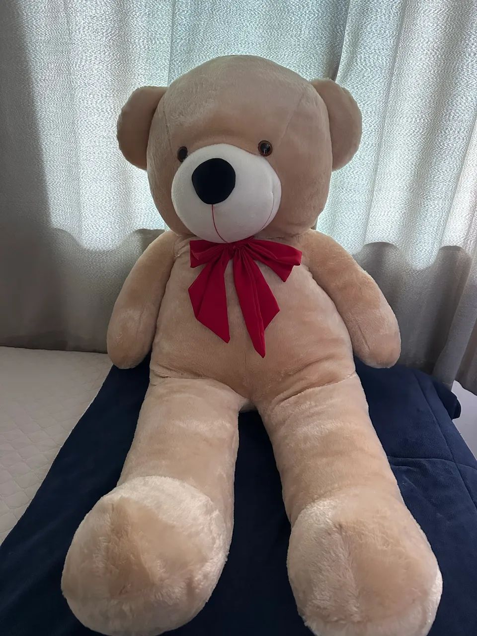 Urso