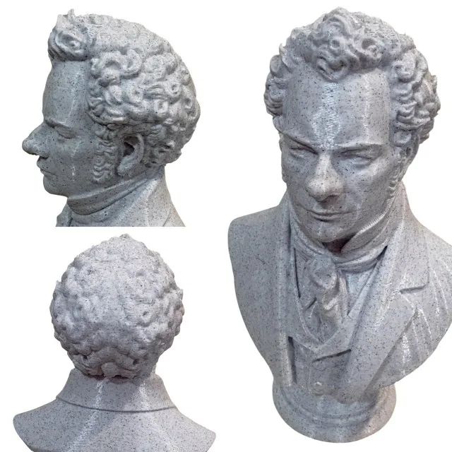 Busto 3D - Schubert - Foto 3