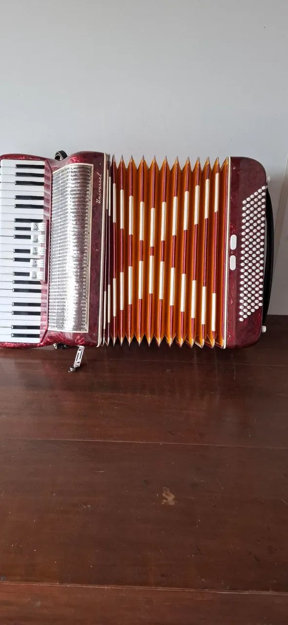 Vendo acordeon 