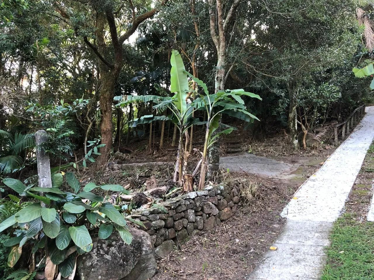 Terreno Ribeirão da Ilha Florianópolis  - Foto 3