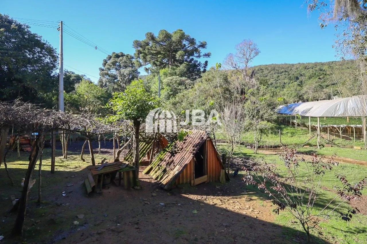 A TRANQUILIDADE DO CAMPO, PERTINHO DE CURITIBA! - Foto 5