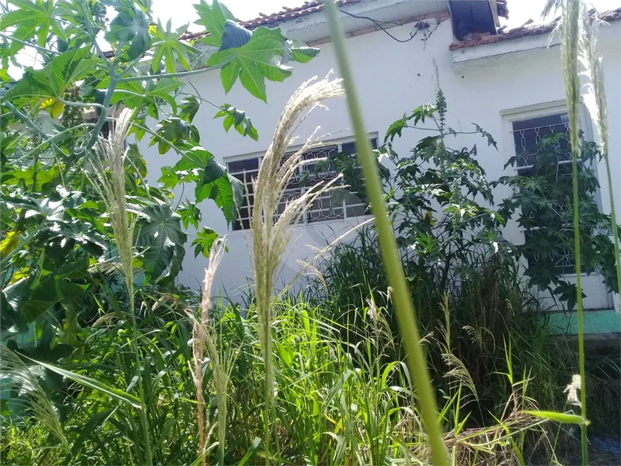Terreno à venda em Parada inglesa - SP - Foto 3