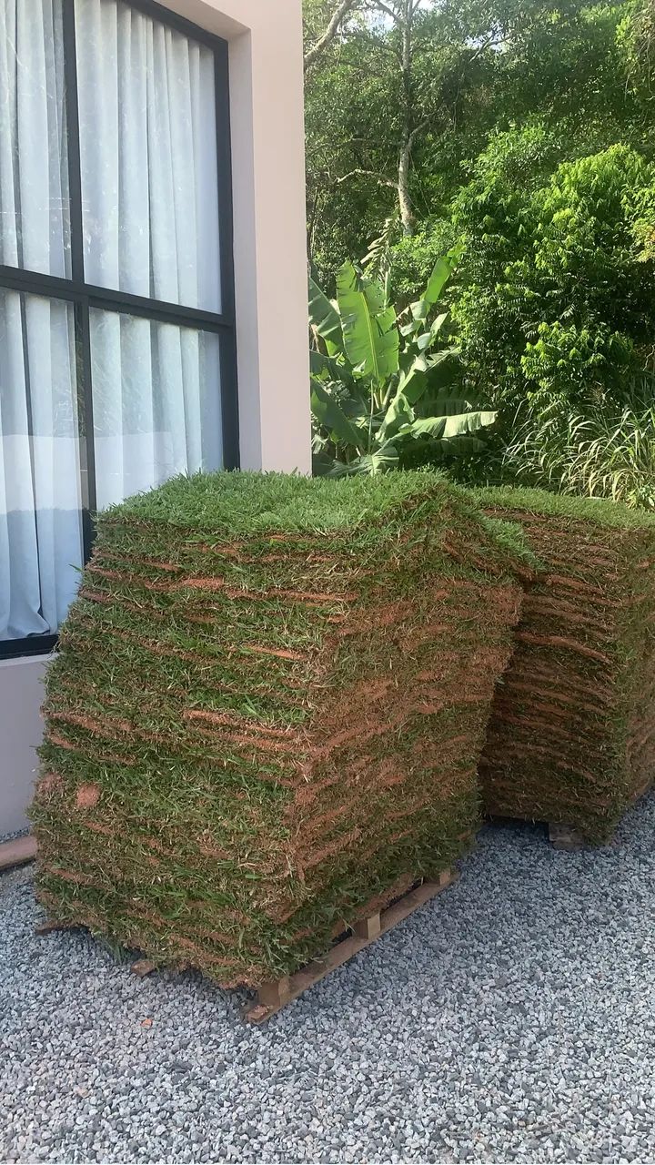 Grama início de ano  - Foto 2