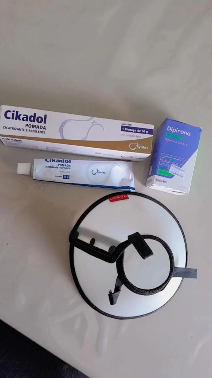 Colar elisabetano  - Foto 2