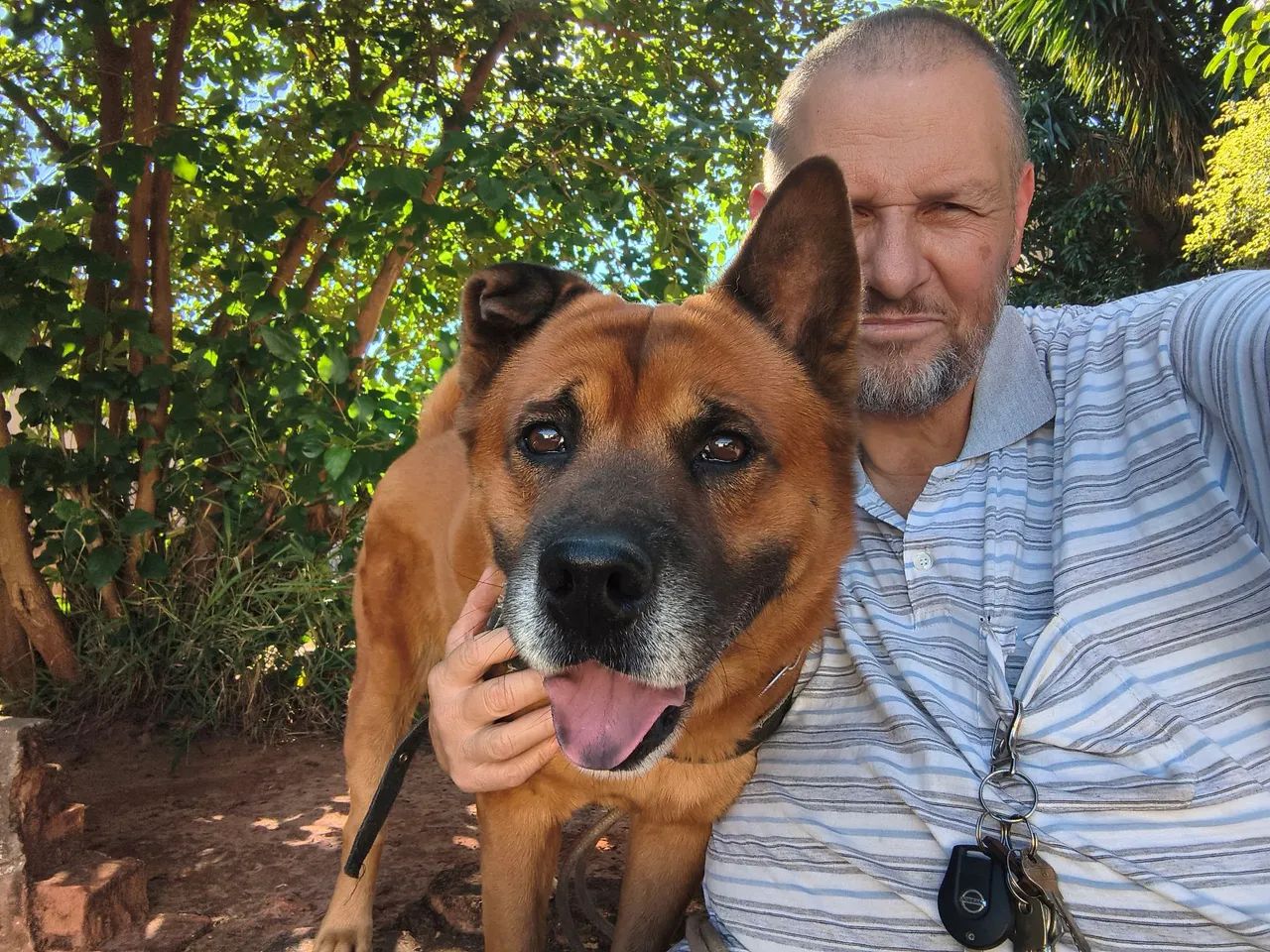 Doação cachorro  - Foto 2