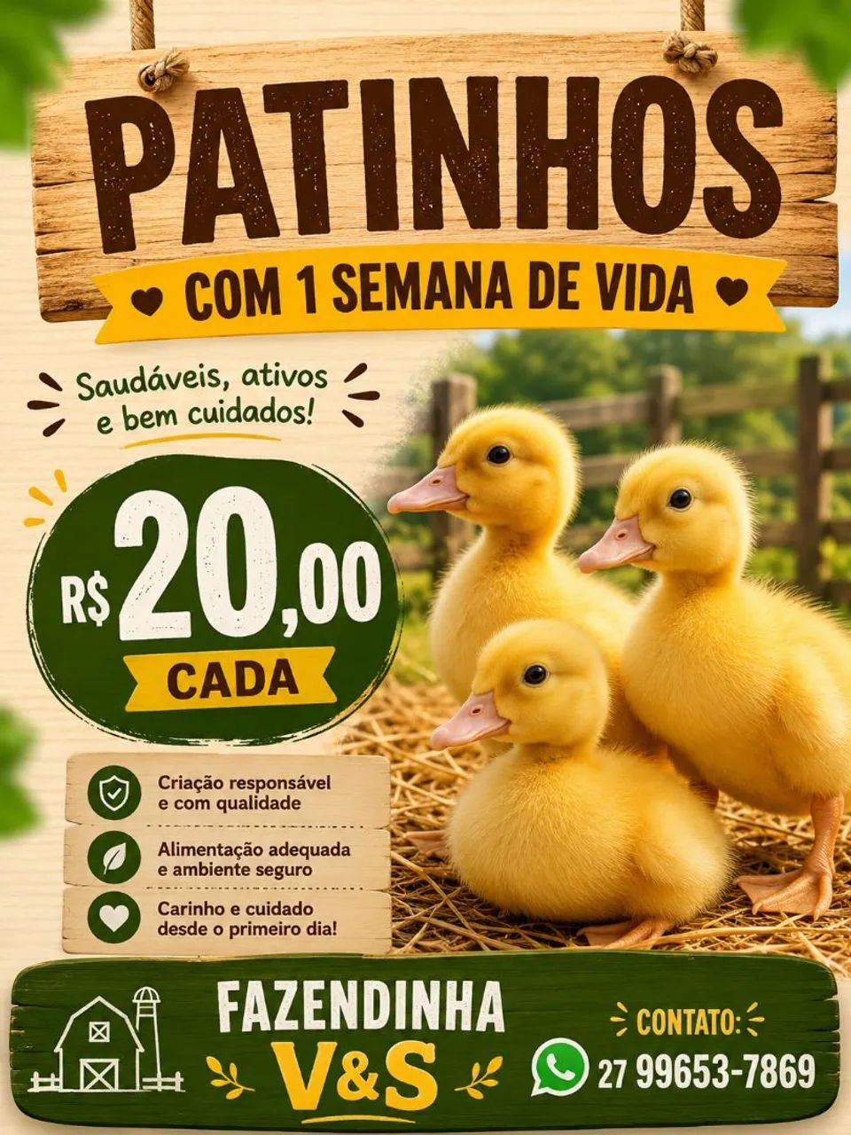 Patinho amarelinho 