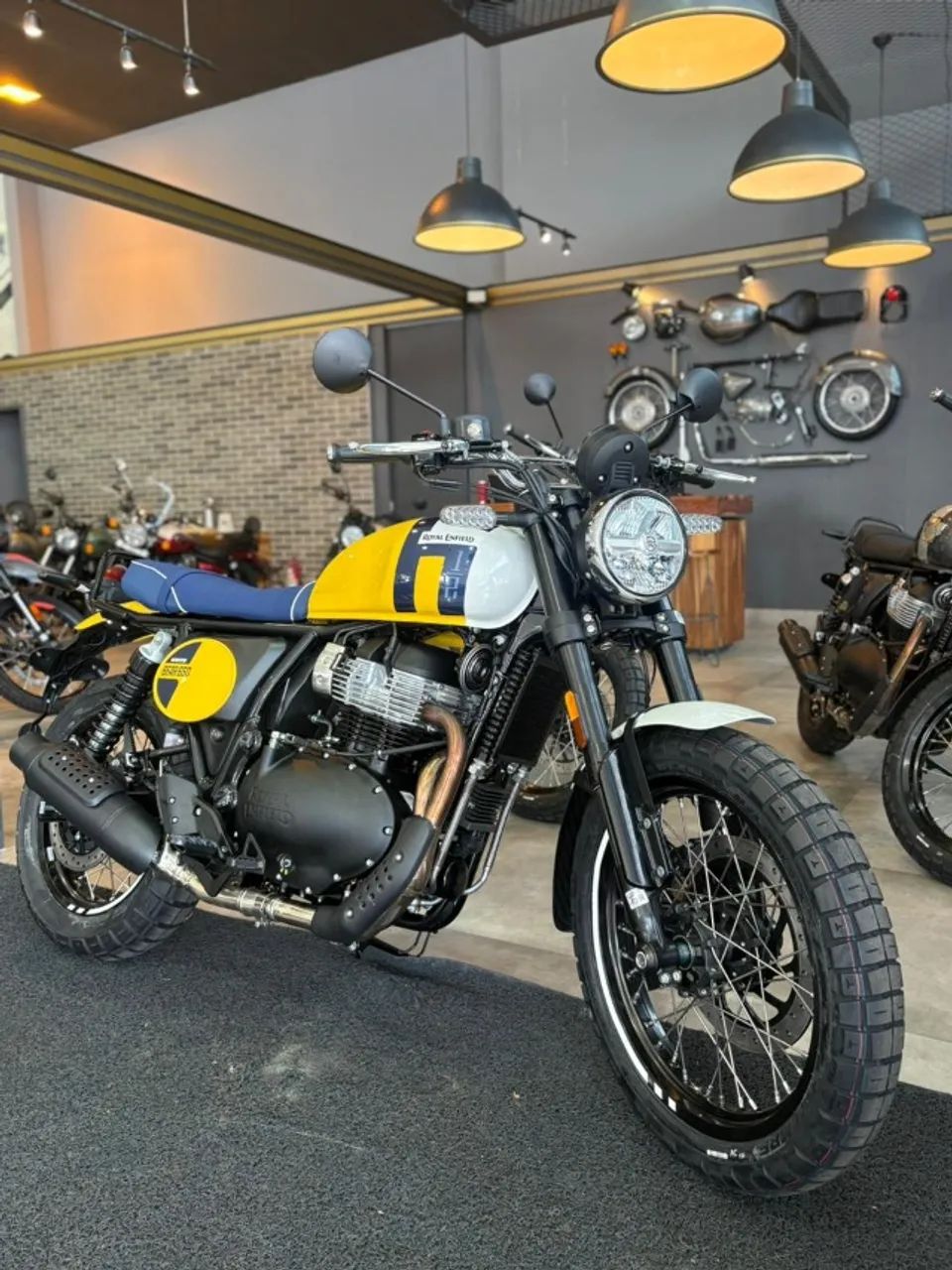Bear 650 Wild Honey (( Emplacamento de Cortesia ))