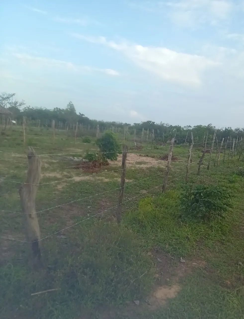 Terreno em Barreirinhas MA - Foto 3