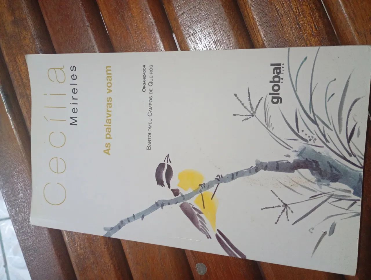Livros  - Foto 2