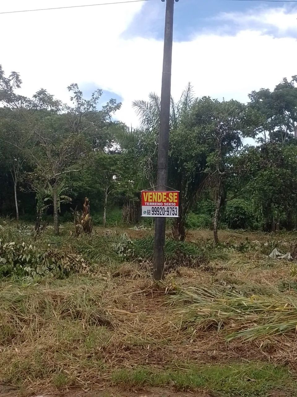 VENDE-SE TERRENO(CHÁCARA)  - Foto 3