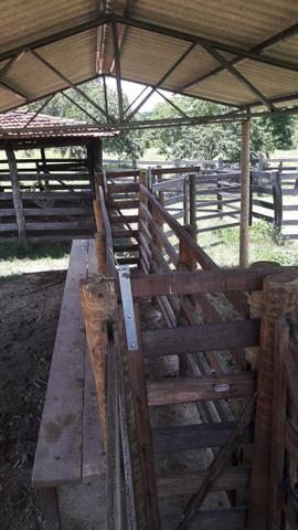 Sítio Município de Goiás Velho - Foto 20