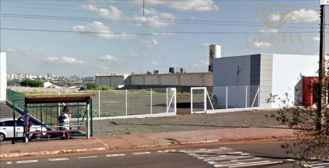 Terreno comercial, conjunto vivi xavier, londrina, 6460m² te0080 - Foto 2