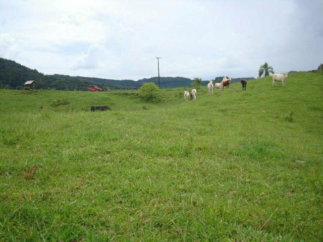 Linda fazenda porteira fechada - Foto 12
