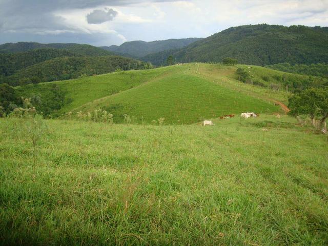 Linda fazenda porteira fechada - Foto 14