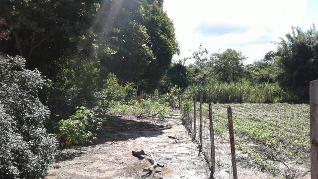 Ótima oportunidade vende ou troca propriedade, (chacara),. tem escritura ok,, - Foto 6