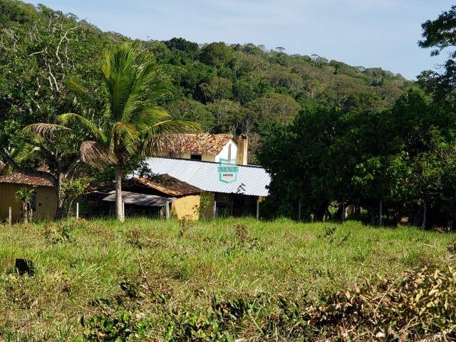 Ubaitaba. Fazenda com 140 Hectares. Mista de cacau e gado - Foto 5