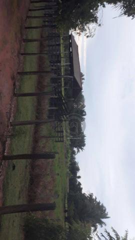 Chacara 40 hectares em mimoso - Foto 5