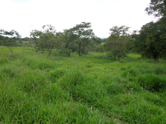 Terrenos, Sítios e Fazendas 70 Há Região de Para de Minas-MG