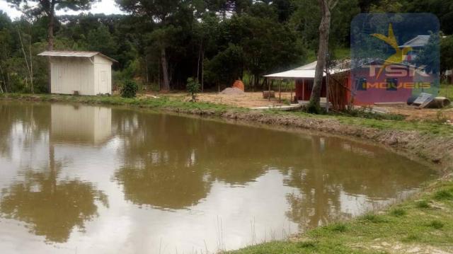 Chácara Lagoa dos Ferreira Mandirituba. CH0289 - Foto 10